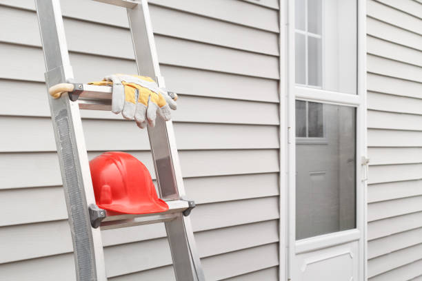 Best Siding Removal and Disposal  in Chapin, SC