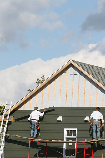 Best Custom Trim and Detailing for Siding  in Chapin, SC